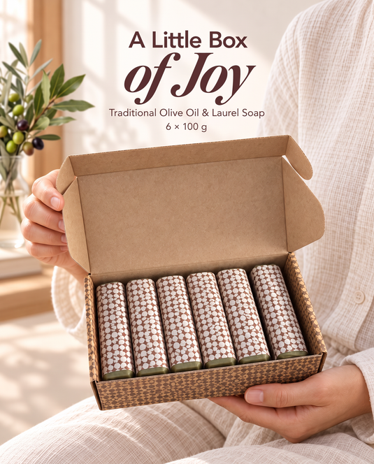 Aleppo Soap Bars 6 × 100g — Olive & Laurel Oil