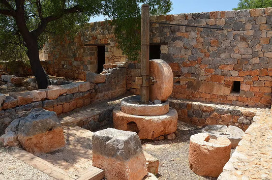 Olive Oil in Skincare: Why It Has Been Used for Thousands of Years